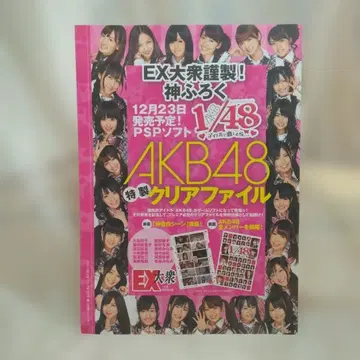 AKB48 특제 클리어 파일