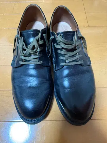 포스트맨 레드 윙 28cm