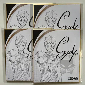 하이큐 히나타 쇼요 사인 색지 V리그