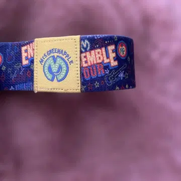 Mrs. GREEN APPLE ENSEMBLE TOUR 러버 밴드