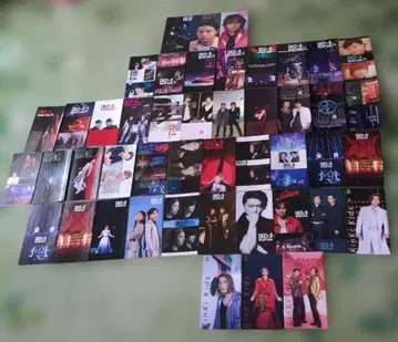 킨키 키즈 뉴스레터 47권