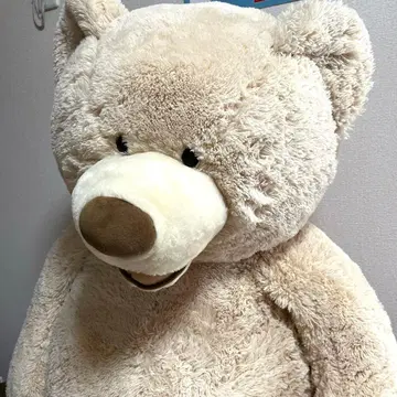 인기 코스트코 곰 봉제 인형 전체 길이 135cm 크림