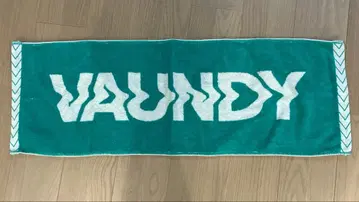 Vaundy 타월 그린