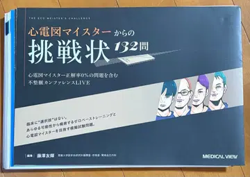 심전도 마이스터로부터의 도전장 132문제