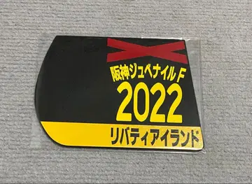 리버티 아일랜드 제켄 코스터 한신 주버나일F 2022 경마