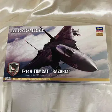 1/72 F-14A 톰캣 '에이스 컴뱃 라즈그리즈 부대'