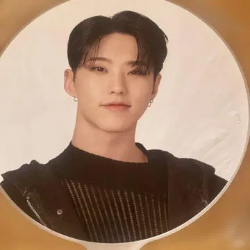 SEVENTEEN HOSHI 부채 follow