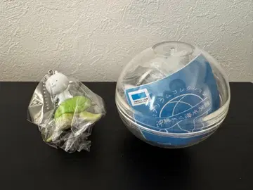 오키나와 추라우미 수족관 굿즈 우사마루