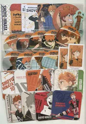 하이큐 히나타 쇼요 아트 코스터 V리그 토부 동물공원 외