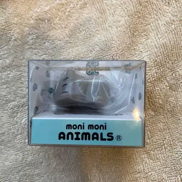 모니마루즈 고양이 부쨩 moni moni ANIMALS