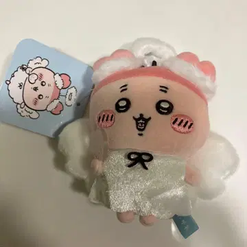 치이카와 (먼작귀) 마법의 헌책방 마스코트 패키지 없음 각 1점