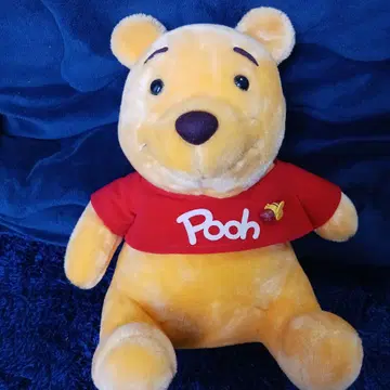도쿄 디즈니랜드 레어 곰돌이 푸 봉제 인형