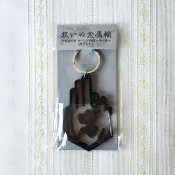 -진천지개벽집단-지그재그 카라비너