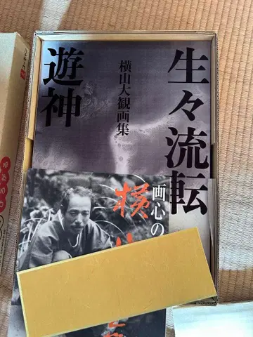 생생유전 요코야마 다이칸 화집