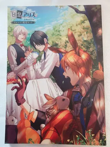 화이트와 블랙의 앨리스 로로앨리 소책자