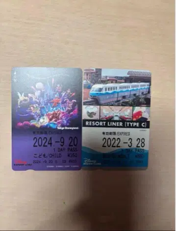 디즈니 리조트 라인 프리 티켓