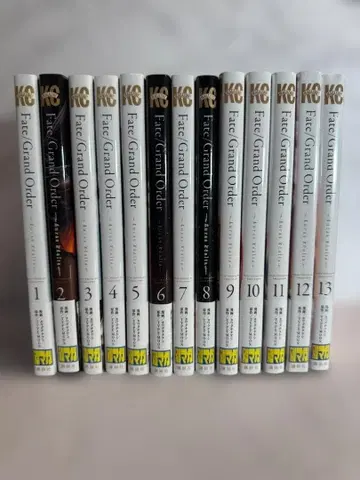 Fate/Grand Order -truas realta- 1~13권