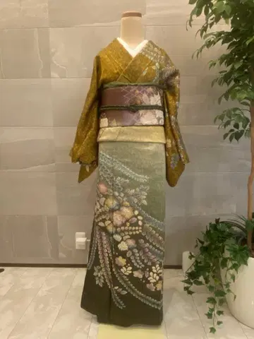 호몬기 작가물 타이조 츠지가하나 시보리 오비 세트