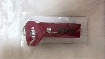 HANA 로고 립 케이스