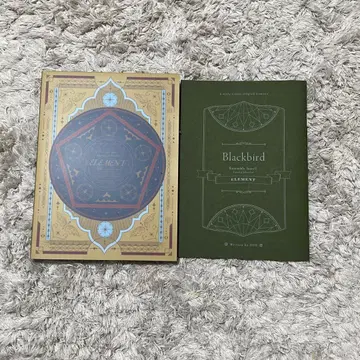 앙스타 엘리먼트 BluRay