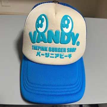 vandy the pink 메쉬 캡 블루