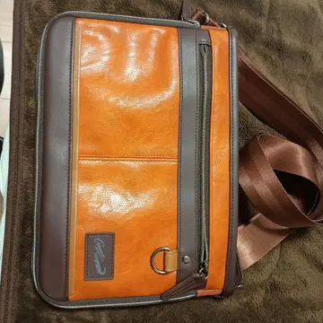 크로커다일 오렌지와 브라운 숄더백