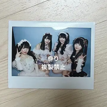 큐루링 해봐 집합 폴라로이드