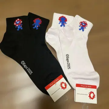 EXPO 2025 미야쿠미야쿠 삭스 세트 25-27cm