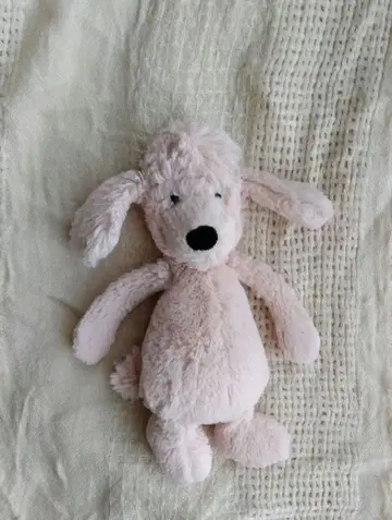 제리캣 토이 푸들