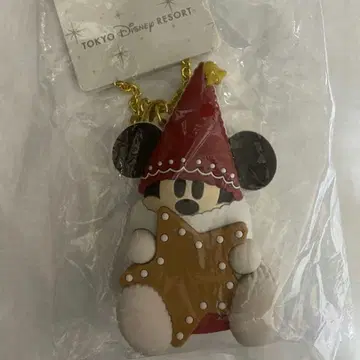 디즈니 크리스마스 릴린린 2025 백참 케이스 포함