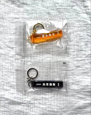 후지이 카제 키링 HEHN LASA