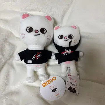 스키즈 skzoo 지니레트 세트