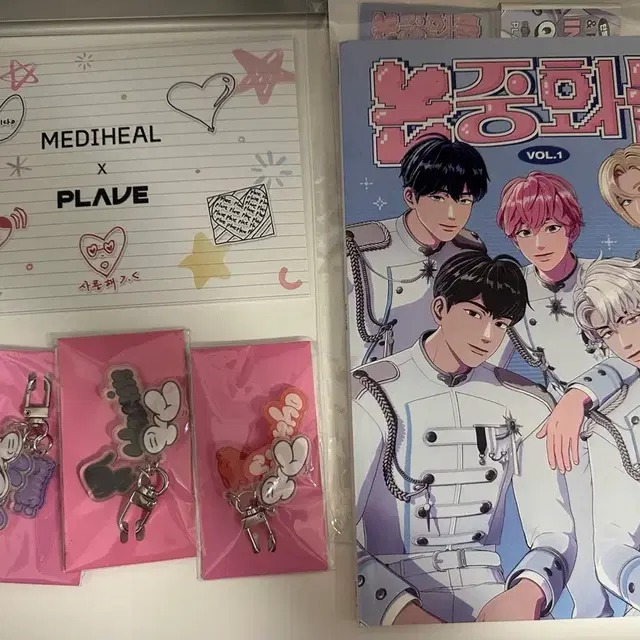 플레이브 앨범, 포카, 공식 굿즈, 비공식 굿즈 일괄 처분