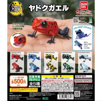 생물대도감 쁘띠 야독개구리 전 5종 컴플리트