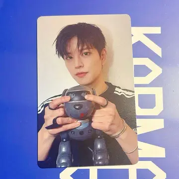 straykids 스키즈 KARMA 특전 트레이딩 카드