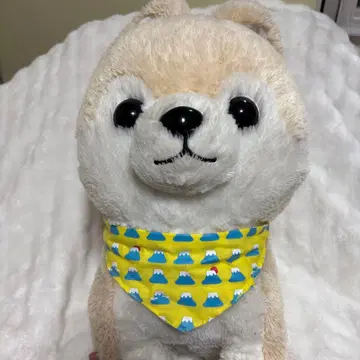 콩시바 삼형제 봉제 인형