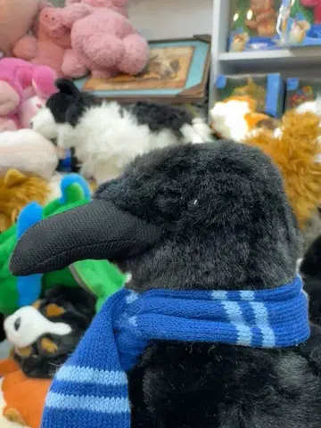 블랙 펭귄 봉제 인형 스카프 포함 *10