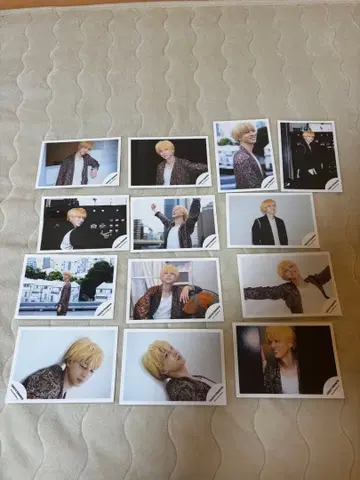 테라니시 타쿠토 공식 사진 13장