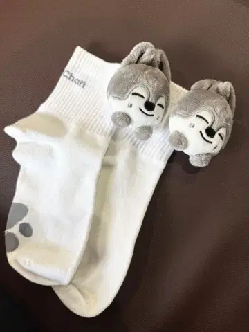 StrayKids SKZOO 방찬 양말
