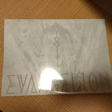 EVANGELION 원화집