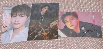 승식 일본 특전회 사인 사진 엽서 세트