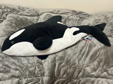 메가샤치 봉제 인형