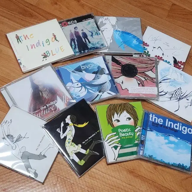 jpop 시부야케이 the Indigo CD앨범 전집