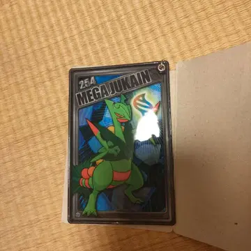 포켓몬 센터 메가 복권 2015 메가 패스 케이스 리플렉터 메가 나무킹