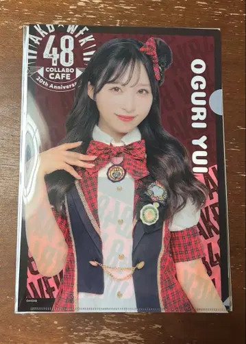 오구리 유이 AKB48 웬디스 콜라보 클리어 파일 플레이버 포테토