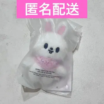 스키즈 SKZOO 5'CLOCK 팬미팅 10cm 인형 리노 리비트