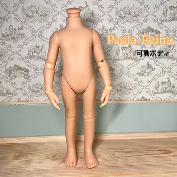 파올라 레이나 가동 바디 파올라 인형 가동 바디
