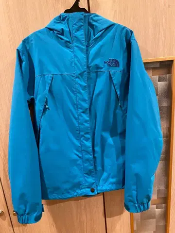 THE NORTH FACE 파랑 마운틴 후드티