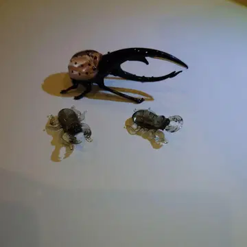 유리 공예 곤충 피규어 3체 세트