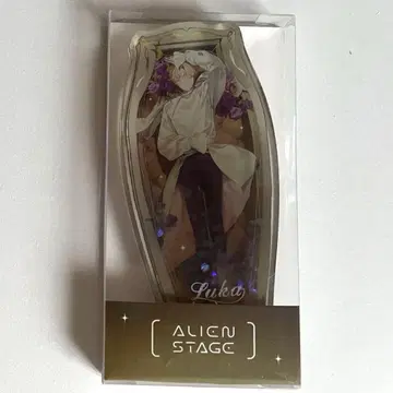 에이스테 루카 아크릴 블록